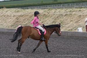 ISIS Dressage Challenge 2008